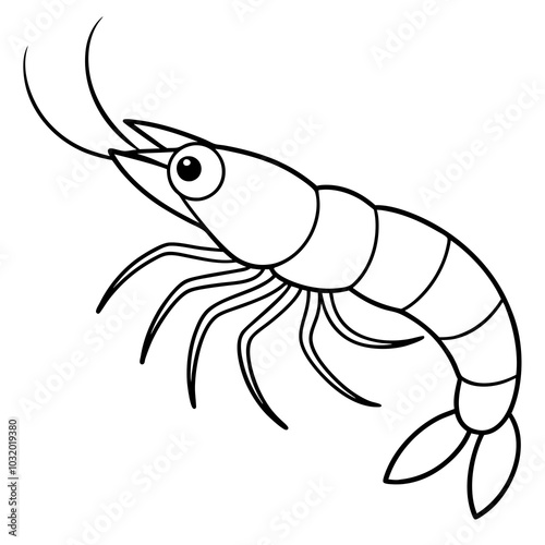 shrimp art line vector on white background