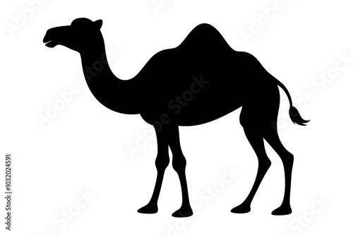 camel silhouette vector illustration