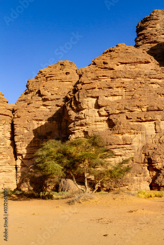 A view of the amazing red rock formations.  Essendilene Canyon,  Tadrart mountains. Tassili N'Ajjer National Park, Sahara desert, Djanet, Algeria, Africa photo