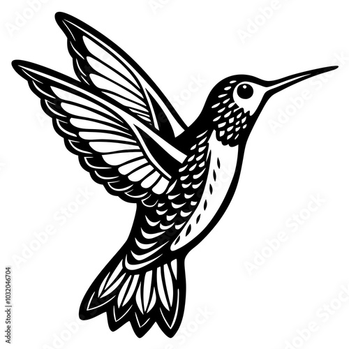 bird of paradise on a white background 