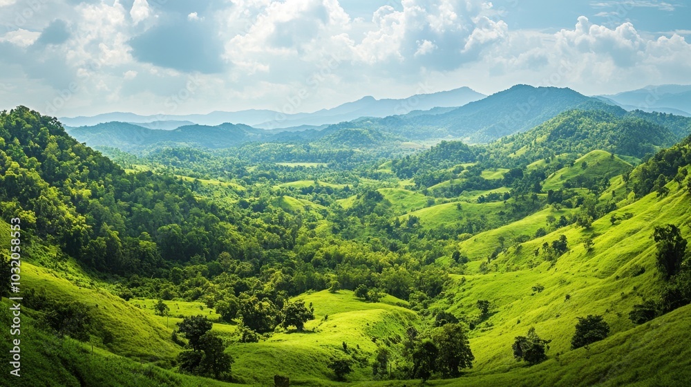 Fototapeta premium A panoramic view of the lush green hills of Thailands northern regions, with intricate tree details.