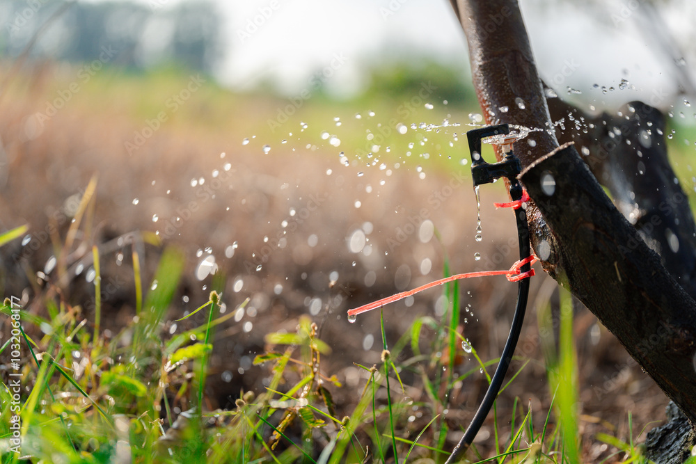 A close-up of a small sprinkler head releasing water to irrigate plants, demonstrating a non-energy system using water flow independent of gravity A close-up of a small sprinkler head releasing water to irrigate plants, demonstrating a non-energy system using water flow independent of gravity