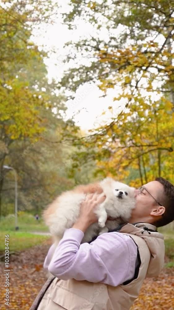 little cute fluffy puppy on a walk with his young man owner in the park. Dog breed Pomeranian Spitz. Yellow autumn leaves in the forest little cute fluffy puppy on a walk with his young man owner in the park. Dog breed Pomeranian Spitz. Yellow autumn leaves in the forest