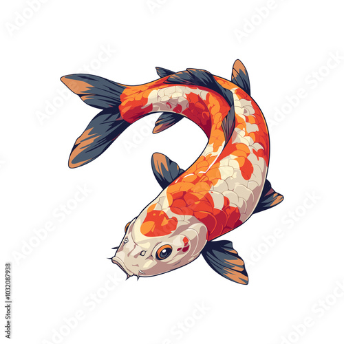 Vector illustration of Koi carp fish  isolated on white background