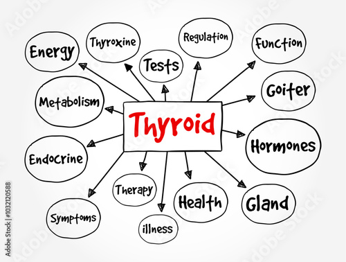 Thyroid - refers to the thyroid gland, a butterfly-shaped endocrine gland located in the front of the neck, just below the Adam's apple, mind map text concept background