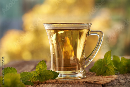 Quadro su tela A cup of herbal tea with fresh melissa or lemon balm plant on a table