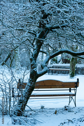 Laugardalur Botanical Garden, Reykjavik, Iceland photo