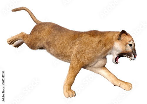 3D Rendering Big Cat Puma on White