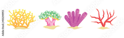 Colorful Coral and Sea Bottom Plant Vector Set