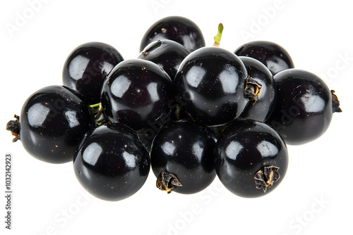 Black currant berry isolated on white background