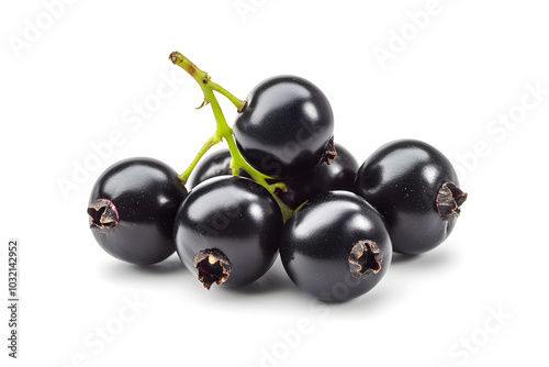 Black currant berry isolated on white background