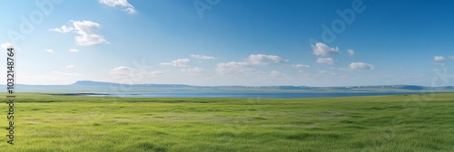 Serene Meadow Landscape With Lush Green Grass Under A Blue Sky With White Clouds On The Horizon