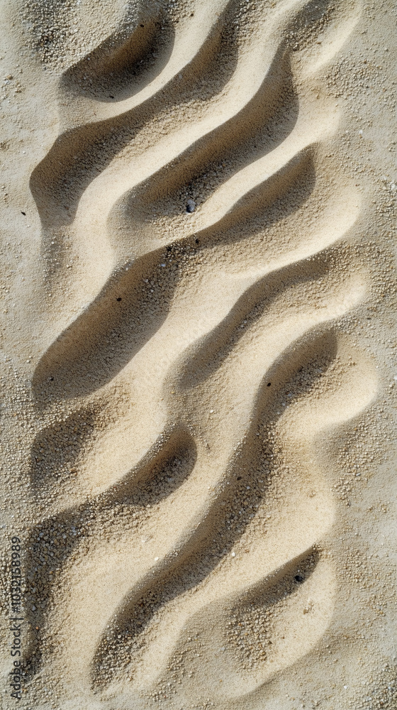 Obraz premium Close-up of Sand Patterns Sculpted by Wind on a Beach - Textured Natural Landscape