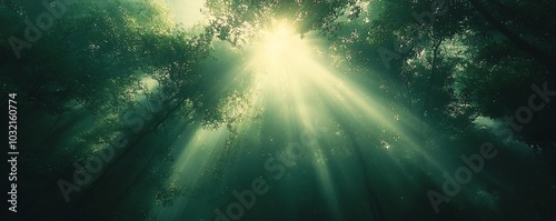 Artistic nature photography capturing sunlight filtering through dense green treetops, showcasing an ethereal lens flare effect