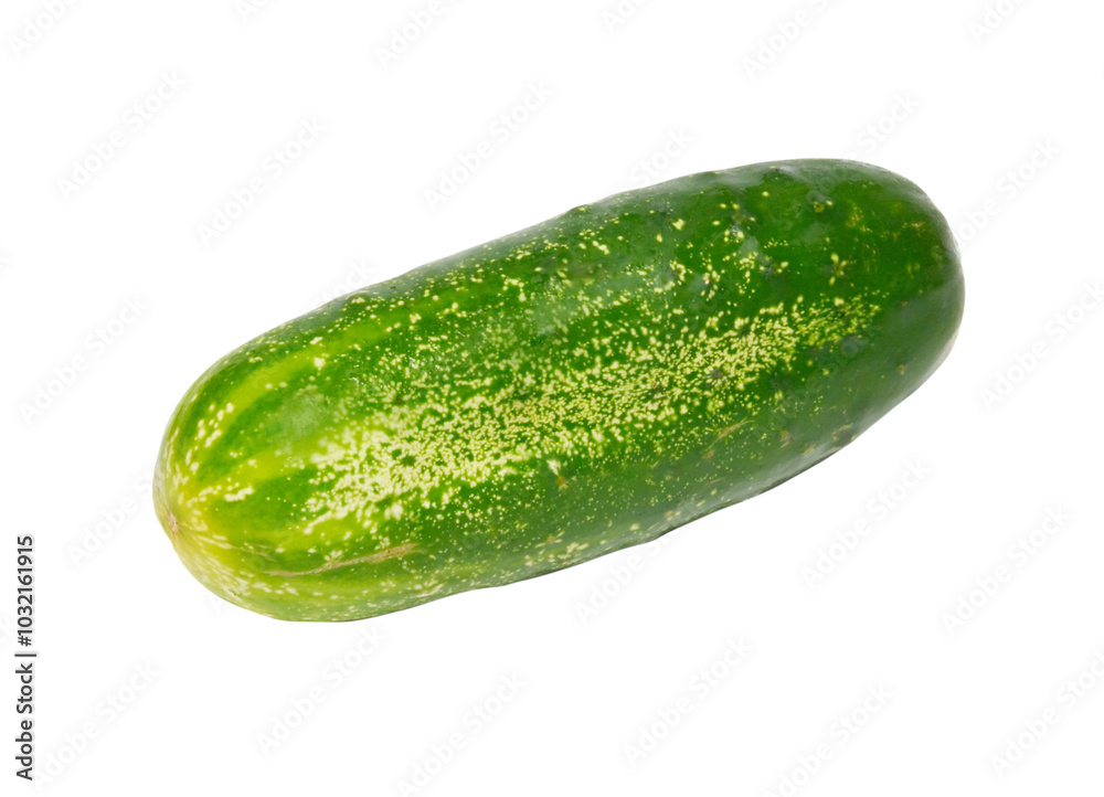 Green cucumber pickle in PNG isolated on transparent background