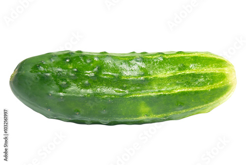 Green cucumber pickle in PNG isolated on transparent background