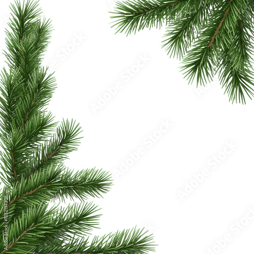 Green pine branches framing a blank space for holiday decoration ideas