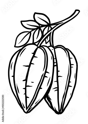 Coloring page outline of the star fruit vector illustration in cute line cartoon style suitable for kid