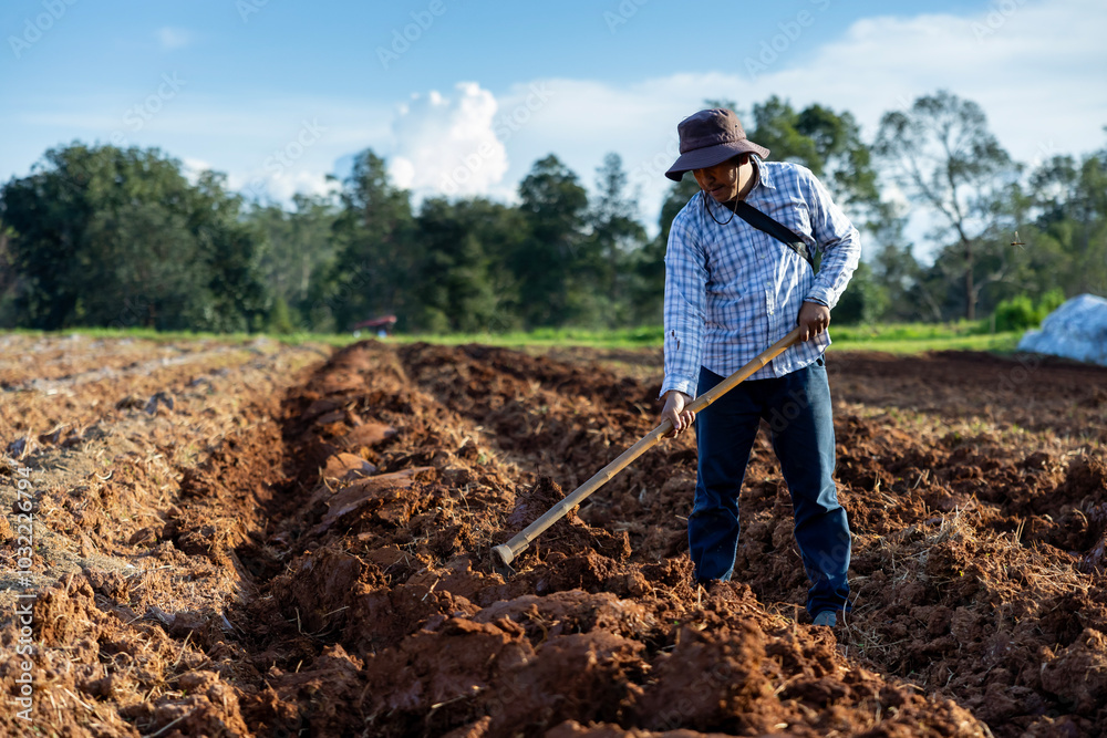 Asian farmer is using hoe to plough tilled soil ready for planting in the countryside during summer for potato plantation and agriculture