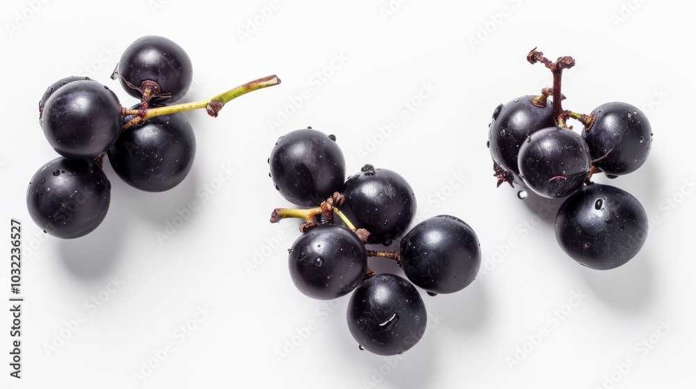 Stunning Flat Lay of Top View Black Grapes Isolated on White Background in Stunning Flat Lay of Top View Black Grapes Isolated on White Background in