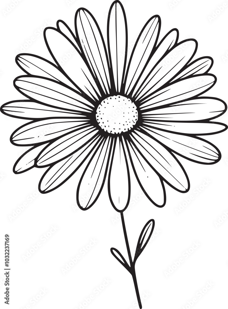 This is an illustration of flowers in a simple and modern line art style. This is an illustration of flowers in a simple and modern line art style.
