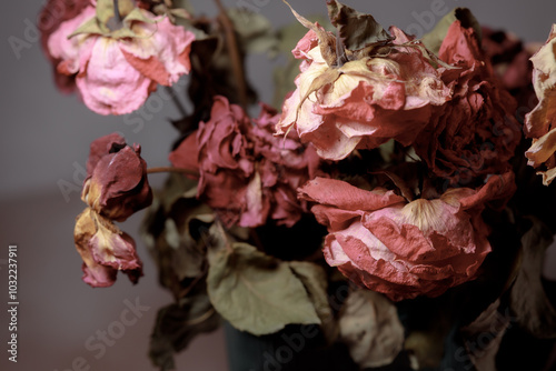Dried flowers in a glass vase. Concept of dry skin, mental health problems, emotional burnout, dehydration. Lack of clean water and the environmental consequences of global warming.