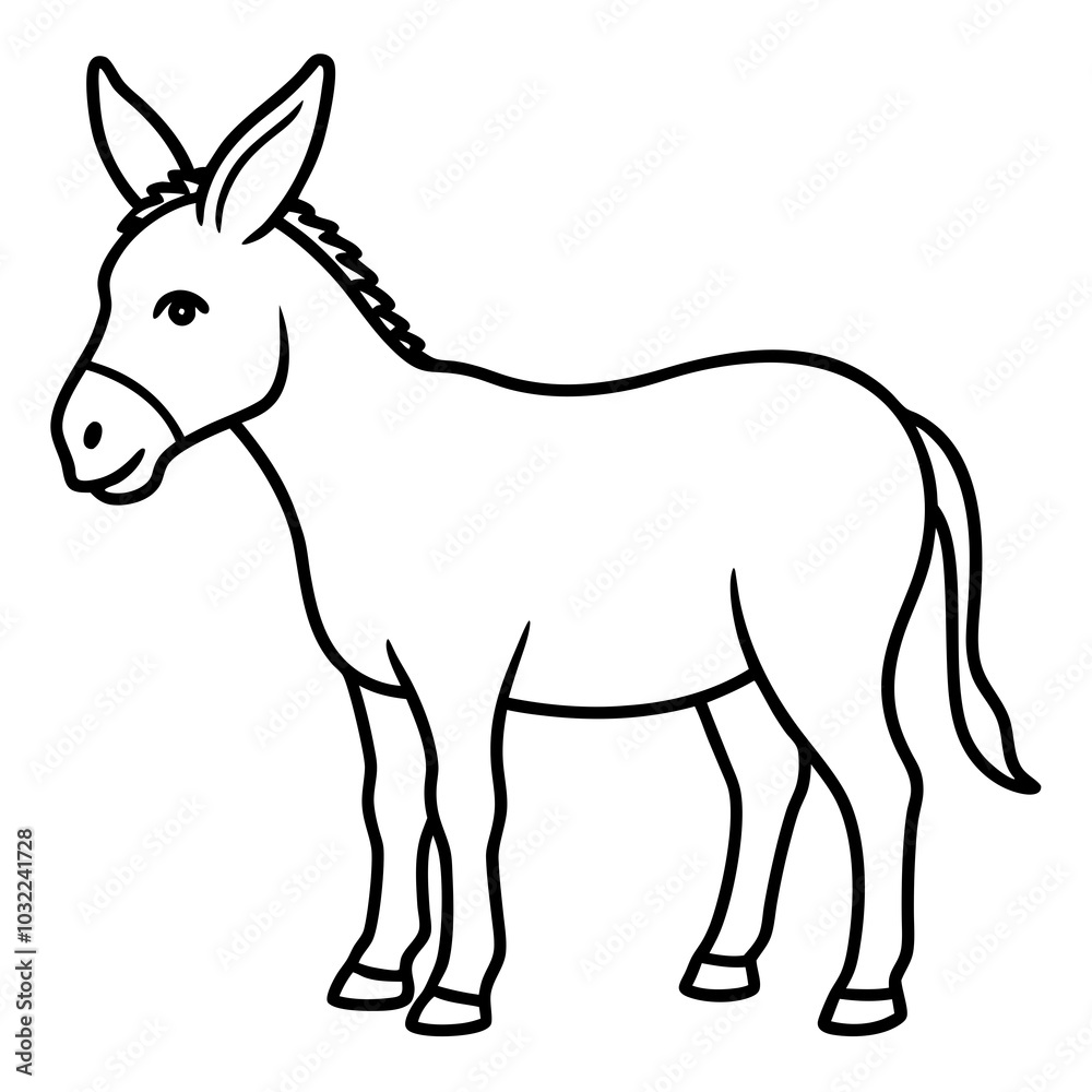 donkey isolated on white background donkey isolated on white background
