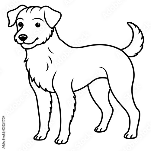 black and white puppy