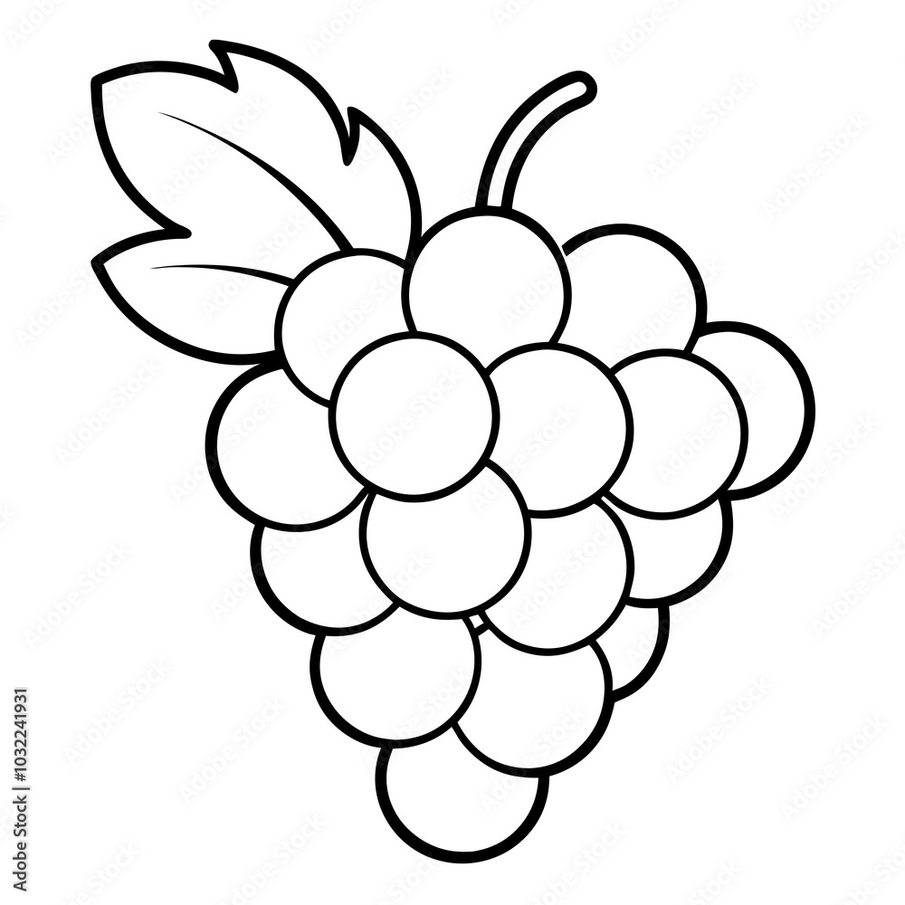 illustration of grapes