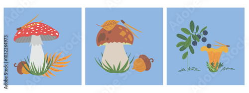 Vector hand drawn mushroom illustrations. Porcini, boletus edulis, chanterelle, and red fly agaric amanita with blueberry, leaves and autumn forest plants