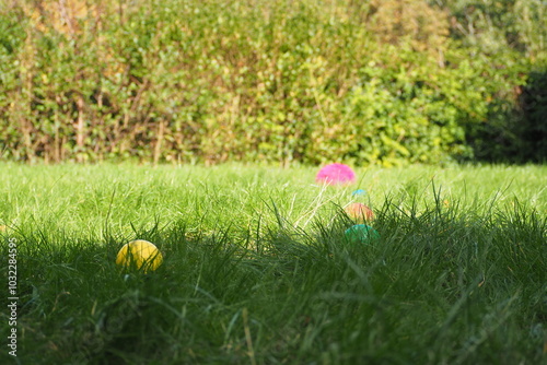 Wallpaper Mural Kolorowe kuleczki na zielonej trawie Torontodigital.ca