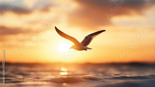 A seagull gracefully soars above the calm ocean waters during a vibrant sunset in the early evening sky.