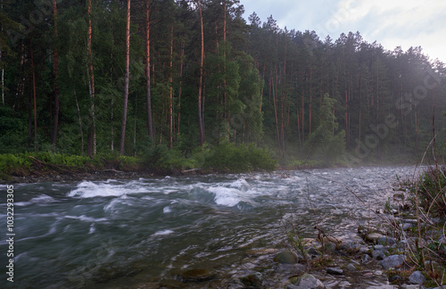 Morning ist over the water of Altai River Chemal and mountains with pine forest on the far bank. photo