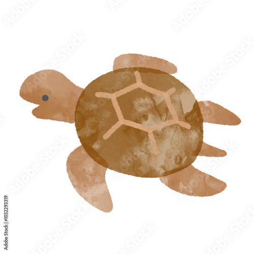 海のいきもの(ウミガメ)