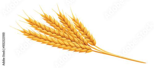 Sheaf of wheat lying on a white background