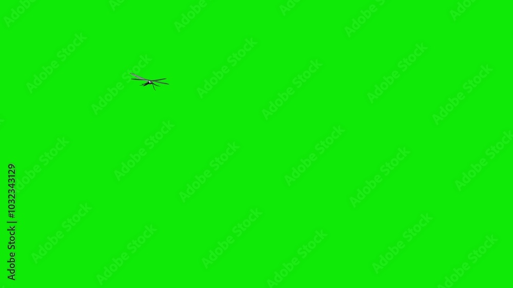 Dragonfly Flying Around Screen Loop - Green Screen - Realistic 3D animation isolated on chroma key background Dragonfly Flying Around Screen Loop - Green Screen - Realistic 3D animation isolated on chroma key background