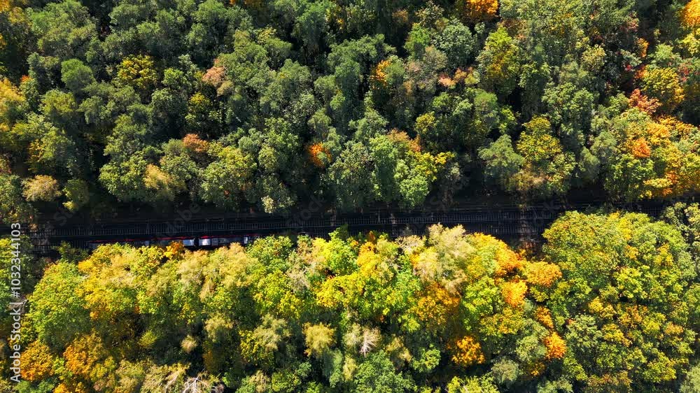 A train passing through a sunlit, deciduous autumn forest, showcasing beautiful fall colors in a rare aerial shot. A train passing through a sunlit, deciduous autumn forest, showcasing beautiful fall colors in a rare aerial shot.