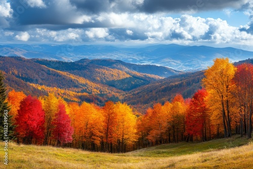 Autumn Forest Landscape with Colorful Trees and Mountains