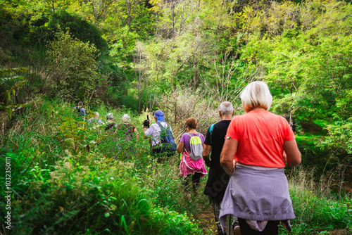 A group of elderly people walking in the woods. Concept of keeping active in the third age. Summer, exercise and hiking with group of friends and trekking together
