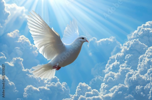 White dove flying in the sun rays among the clouds , isolated on white background,  , free space text, copy space, copy space for text, photo