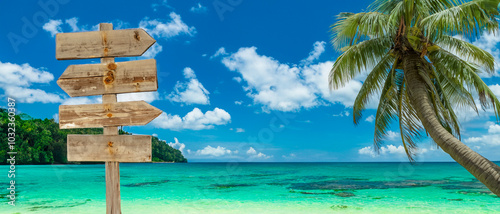 wooden empty sign on the beautiful tropical beach with coconut - communication