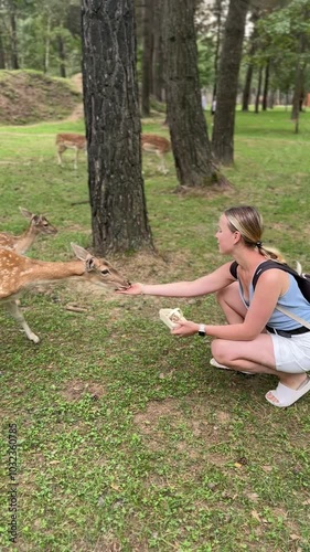 Animals in eco zoo,Wildlife,Ecosafari,feeding animals in the wild photo