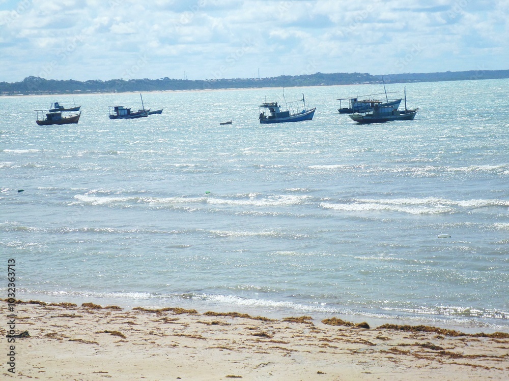 Obraz premium barcos na agua