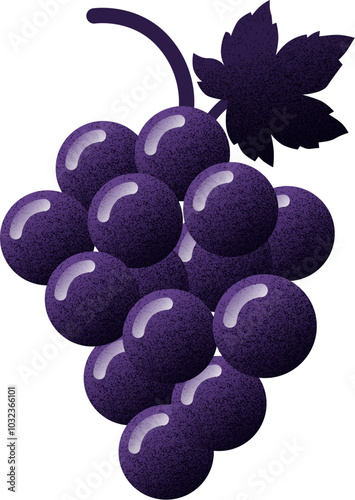 A bunch of purple grapes with a stem. The grapes are clustered together and the stem is visible