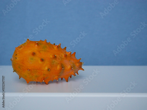 Kiwano Cucumis Metulifer tropical fruit close up at a blue background photo