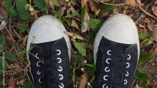 shoes with laces, black and white among dry leaves - Temanggung Indonesia 06 ‎September ‎2023 photo