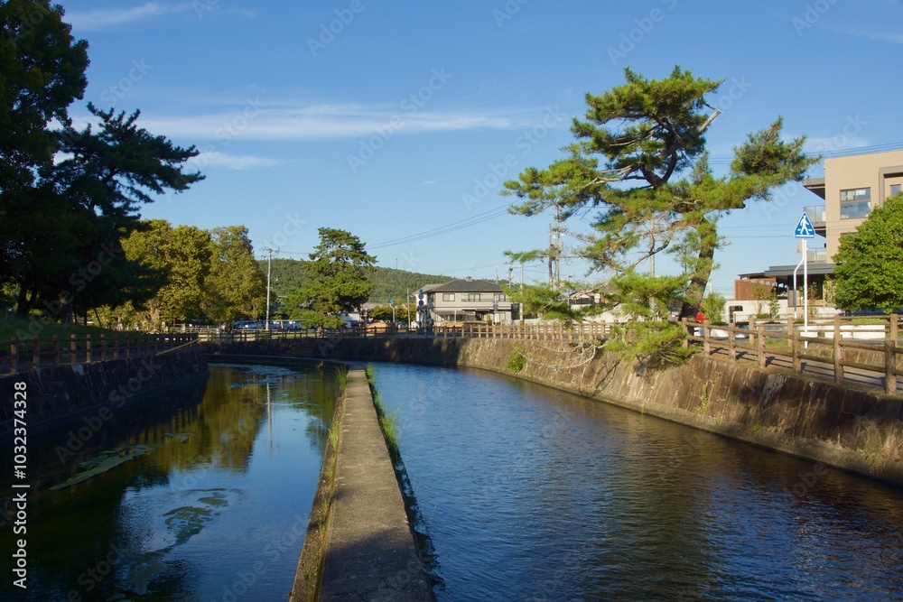 Fototapeta premium 酒津公園の秋 曼珠沙華 彼岸花