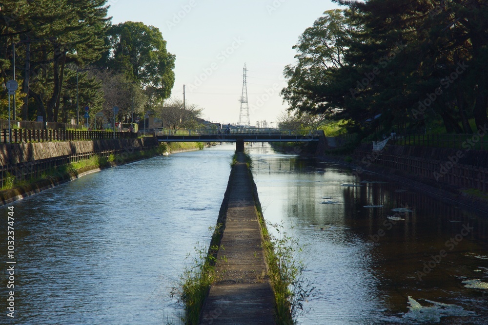 Fototapeta premium 酒津公園の秋 曼珠沙華 彼岸花