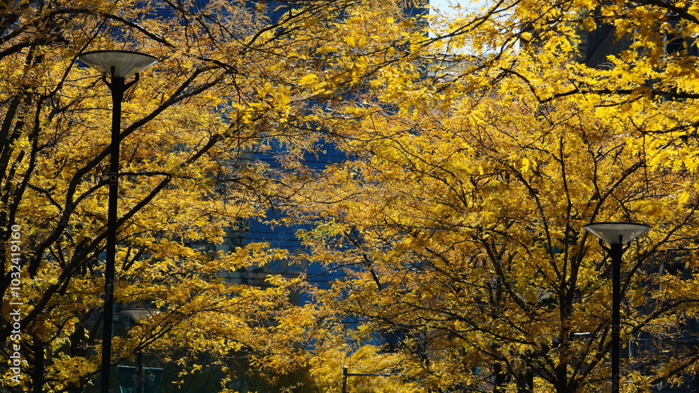 The beautiful Philadelphia city view in autumn The beautiful Philadelphia city view in autumn