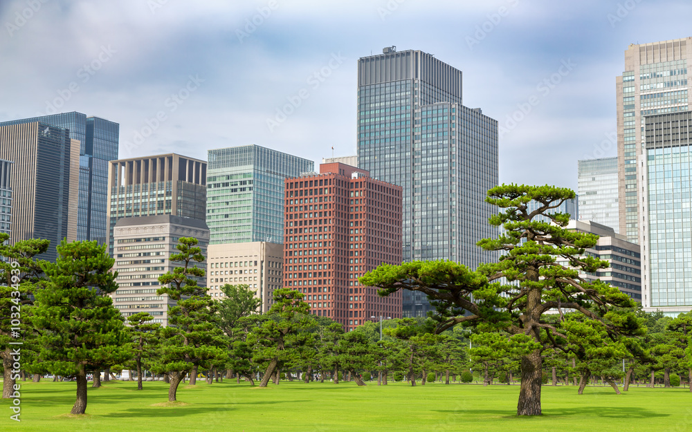 Tokyo skyline of skyscrapers and beautiful parkland in the Marunouchi district.